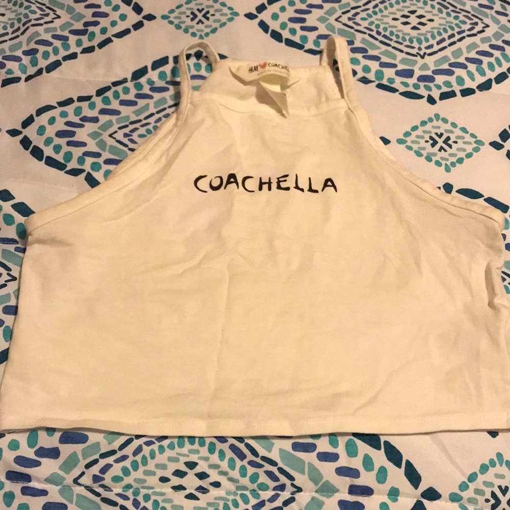 Coachella crop top